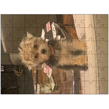 Traditional Jigsaw Puzzles