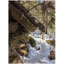 Traditional Jigsaw Puzzles