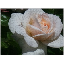 Traditional Jigsaw Puzzles