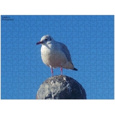 Traditional Jigsaw Puzzles