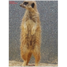 Traditional Jigsaw Puzzles