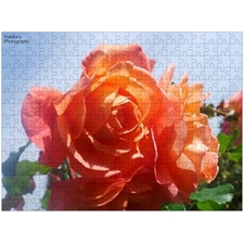 Traditional Jigsaw Puzzles