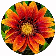 Round Puzzles