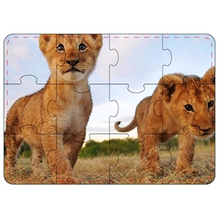 12 Piece Picture Puzzle For Puzzle Maker