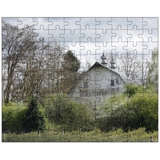 Custom Wooden Jigsaw Puzzle For Kids With 100 Pieces