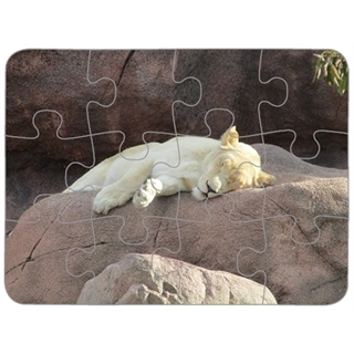 Personalized 4X5 Inches Plastic Puzzle 12 Pieces