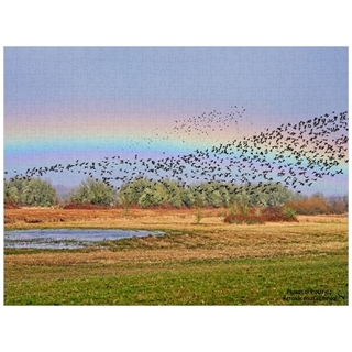500pc Flock and Rainbow 2023