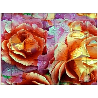Custom Acrylic Puzzle (12 X 16.5 Inch 54/285 Pieces)
